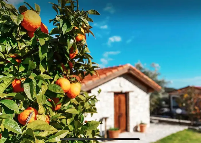 New Cozy Near The Beaches In The Magnificent Gardens Of Regina With Swimming Pools! ヴィラ