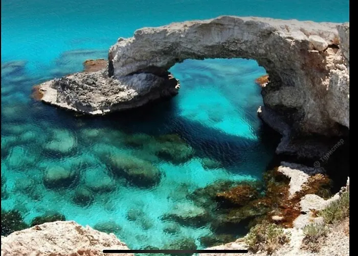 빌라 New Cozy Near The Beaches In The Magnificent Gardens Of Regina With Swimming Pools! *