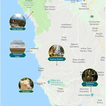 فيلة New Cozy Near The Beaches In The Magnificent Gardens Of Regina With Swimming Pools! بافوس